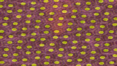 Soyut hareket desenli fütüristik video üretimi için dinamik dijital arkaplan