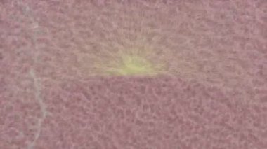 Yaratıcı video düzenleme film arkaplan tasarımı için minimalist organik hareket grafikleri