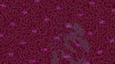 Lüks hareket projeleri için soyut tasarım stili animasyonu olan üst düzey dijital doku