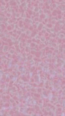 Benzersiz dijital hareket grafiklerine sahip yaratıcı sinematik projeler için yumuşak animasyon yüzeyi