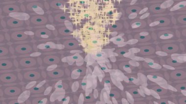 Yaratıcı video düzenleme film arkaplan tasarımı için minimalist organik hareket grafikleri