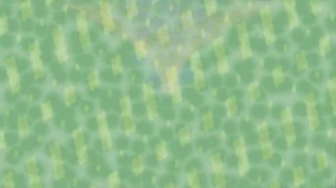 Benzersiz dijital animasyon tarzı grafikleri olan yaratıcı ortam tasarımı için yenilikçi hareket dokusu