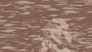 Dijital doku yüzey tasarım biçimi ile modern video animasyonu için gelişmiş hareket grafikleri