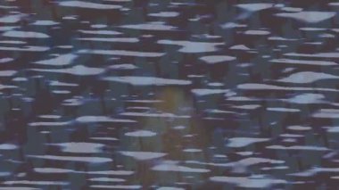 Yaratıcı video düzenleme film arkaplan tasarımı için minimalist organik hareket grafikleri