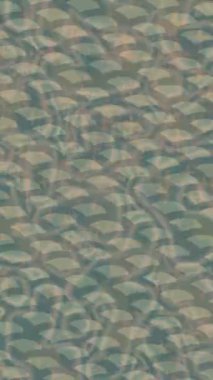 Benzersiz dijital hareket grafiklerine sahip yaratıcı sinematik projeler için yumuşak animasyon yüzeyi