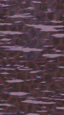 Yaratıcı video düzenleme film arkaplan tasarımı için minimalist organik hareket grafikleri