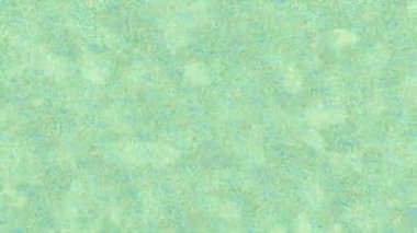 Lüks hareket projeleri için soyut tasarım stili animasyonu olan üst düzey dijital doku