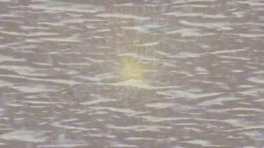 Lüks hareket tasarımı üst düzey video projeleri ve dijital sanat için zarif, pürüzsüz bir dokusu var.