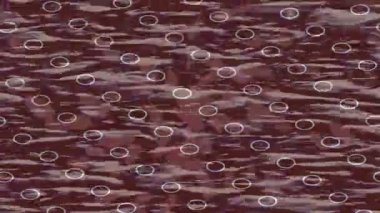 Modern medya üretimi için fütüristik dijital soyut doku sinematik tarz hareketli grafik ögesi