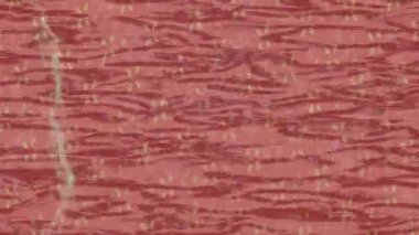 Yaratıcı video düzenleme film tasarımı için benzersiz hareket grafikleri biçimi giriş hareketi video pro