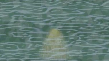 Benzersiz dijital animasyon tarzı grafikleri olan yaratıcı ortam tasarımı için yenilikçi hareket dokusu