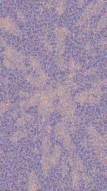 Benzersiz dijital hareket grafiklerine sahip yaratıcı sinematik projeler için yumuşak animasyon yüzeyi