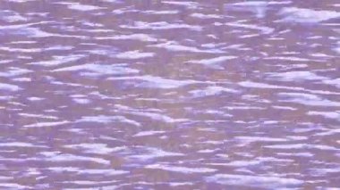 Lüks hareket projeleri için soyut tasarım stili animasyonu olan üst düzey dijital doku