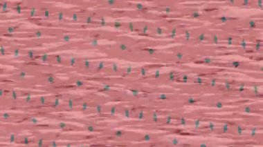 Estetik doku arkaplan tasarımı renkli hareket grafikleri ile moda film giriş profosyoneli