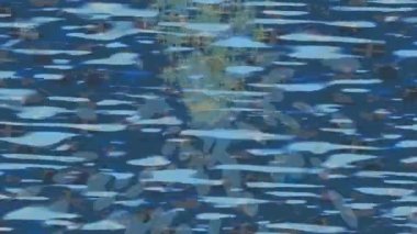 Benzersiz dijital hareket grafiklerine sahip yaratıcı sinematik projeler için yumuşak animasyon yüzeyi