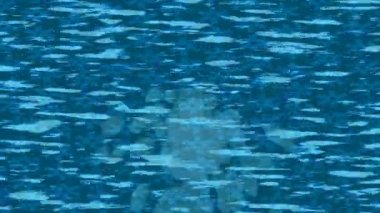 Benzersiz dijital animasyon tarzı grafikleri olan yaratıcı ortam tasarımı için yenilikçi hareket dokusu