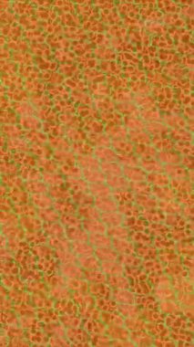 Benzersiz hareket grafikleri tasarım sanatına sahip yaratıcı film üretimi için özet bir arkaplan