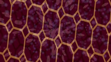 Lüks hareket tasarımı üst düzey video projeleri ve dijital sanat için zarif, pürüzsüz bir dokusu var.