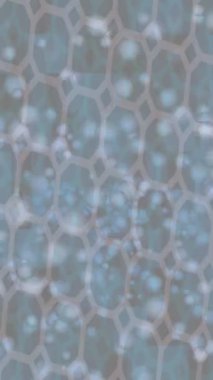 Yaratıcı video düzenleme film arkaplan tasarımı için minimalist organik hareket grafikleri