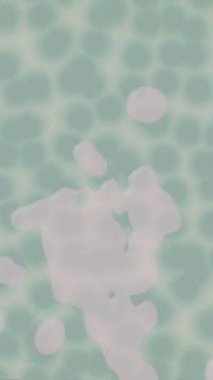 Lüks hareket tasarımı üst düzey video projeleri ve dijital sanat için zarif, pürüzsüz bir dokusu var.