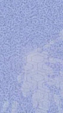 Benzersiz hareket dokusu tasarım sanatı ile profesyonel video düzenleme için modern soyut grafikler