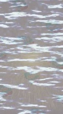 Benzersiz dijital animasyon tarzı grafikleri olan yaratıcı ortam tasarımı için yenilikçi hareket dokusu