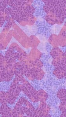 Soyut hareket desenli fütüristik video üretimi için dinamik dijital arkaplan