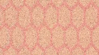 Benzersiz video giriş tasarımı projeleri için detaylı yüzey kalıbı film animasyon stili grafik girişi