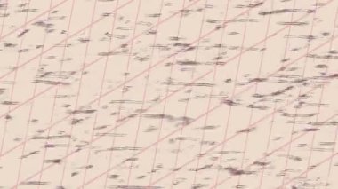 Estetik doku arkaplan tasarımı renkli hareket grafikleri ile moda film giriş profosyoneli