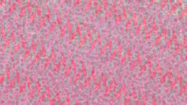 Lüks hareket projeleri için soyut tasarım stili animasyonu olan üst düzey dijital doku