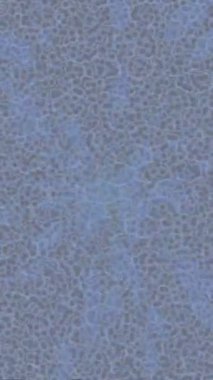 Yaratıcı video düzenleme film tasarımı için benzersiz hareket grafikleri biçimi giriş hareketi video pro