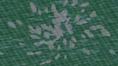 Lüks hareket projeleri için soyut tasarım stili animasyonu olan üst düzey dijital doku