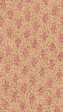 Benzersiz dijital hareket grafiklerine sahip yaratıcı sinematik projeler için yumuşak animasyon yüzeyi