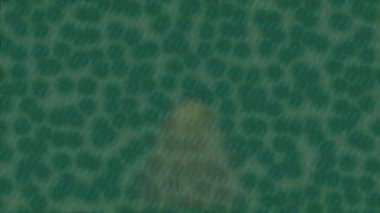 Yaratıcı video düzenleme film arkaplan tasarımı için minimalist organik hareket grafikleri