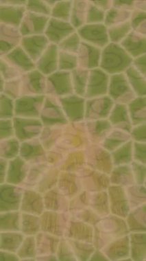 Benzersiz hareket grafikleri tasarım sanatına sahip yaratıcı film üretimi için özet bir arkaplan