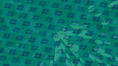 Yaratıcı video düzenleme film arkaplan tasarımı için minimalist organik hareket grafikleri