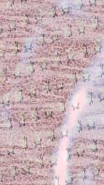 Dijital doku yüzey tasarım biçimi ile modern video animasyonu için gelişmiş hareket grafikleri