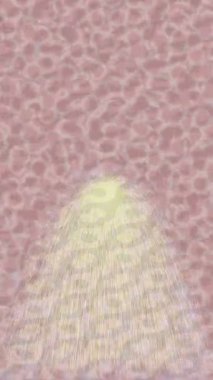 Benzersiz dijital hareket grafiklerine sahip yaratıcı sinematik projeler için yumuşak animasyon yüzeyi