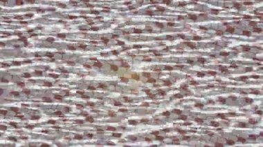 Modern medya üretimi için fütüristik dijital soyut doku sinematik tarz hareketli grafik ögesi