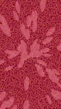 Benzersiz video giriş tasarımı projeleri için detaylı yüzey kalıbı film animasyon stili grafik girişi