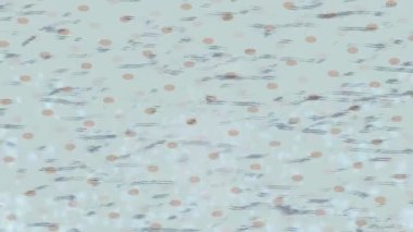 Profesyonel video projeleri sanat tarzı için organik hareketli arkaplan tasarımı