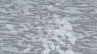 Profesyonel video projeleri sanat tarzı için organik hareketli arkaplan tasarımı