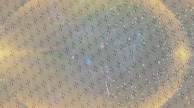 Benzersiz dijital hareket grafiklerine sahip yaratıcı sinematik projeler için yumuşak animasyon yüzeyi