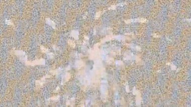 Soyut hareket desenli fütüristik video üretimi için dinamik dijital arkaplan