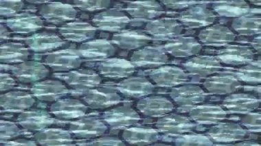 Profesyonel video projeleri sanat tarzı için organik hareketli arkaplan tasarımı