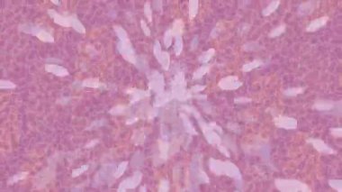 Benzersiz dijital hareket grafiklerine sahip yaratıcı sinematik projeler için yumuşak animasyon yüzeyi