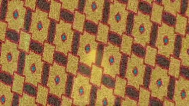 Organik desenli yüzey giriş stili video film sanatı ile soyut arkaplan tasarımı