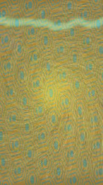 Profesyonel video projeleri sanat tarzı için organik hareketli arkaplan tasarımı