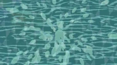 Yaratıcı video düzenleme film arkaplan tasarımı için minimalist organik hareket grafikleri