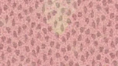 Profesyonel video projeleri sanat tarzı için organik hareketli arkaplan tasarımı